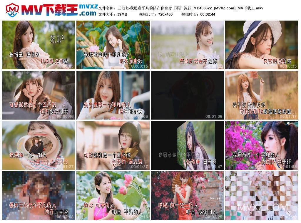 王七七-我愿意平凡的陪在你身旁_国语_流行_MD403622